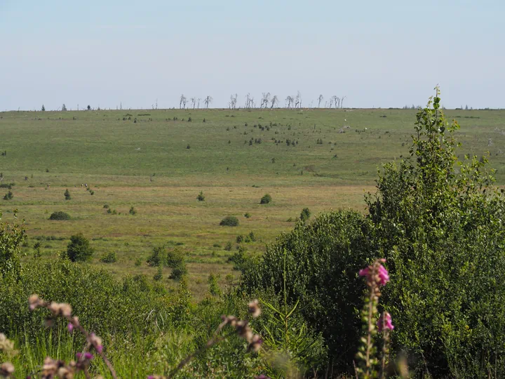 Signal de Botrange (België)